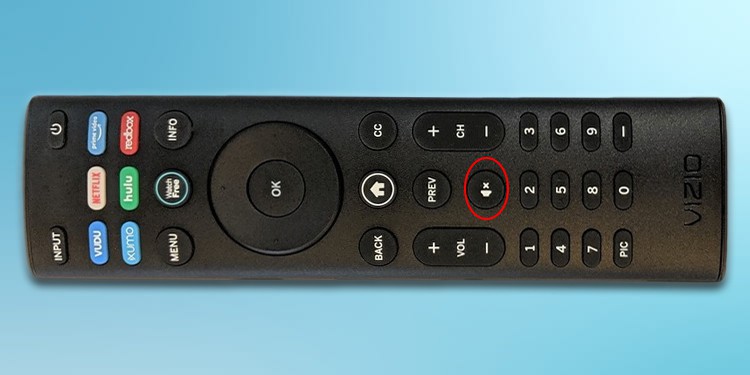 Fixed: Vizio TV Won't Turn on, Power Light Fades Off 4 mute-button-on-vizio-tv-remote