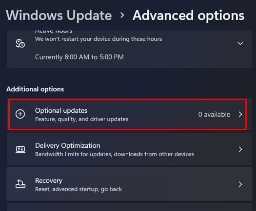optional updates advanced options