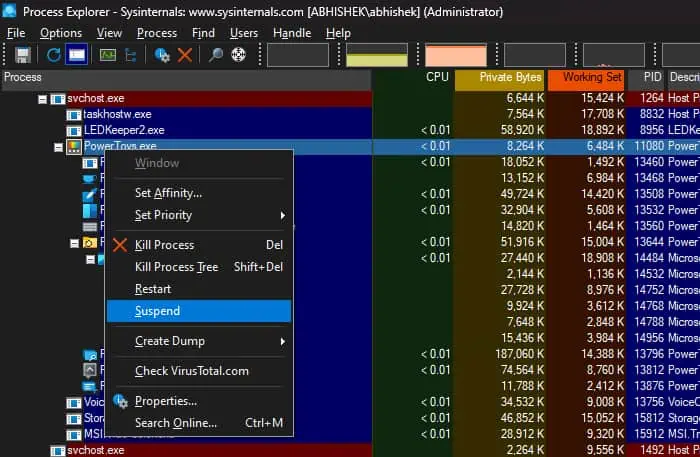 suspend-process-explorer-svchost-exe
