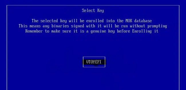 vtoyefi-enroll-key