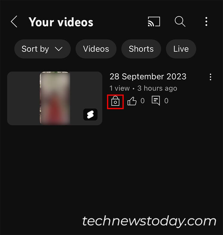 Hover over Video and see the Visibility Menu