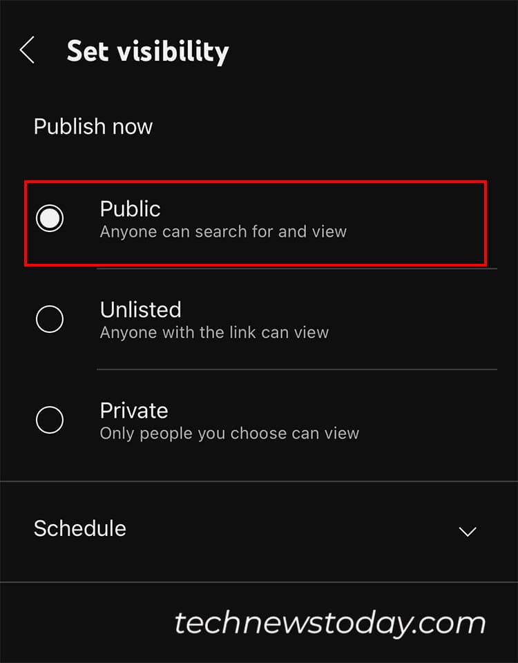 On Publish Now, select Public and go back