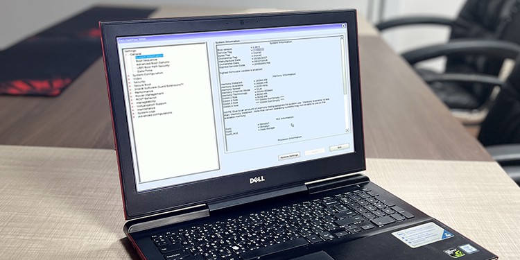 how to get into dell bios