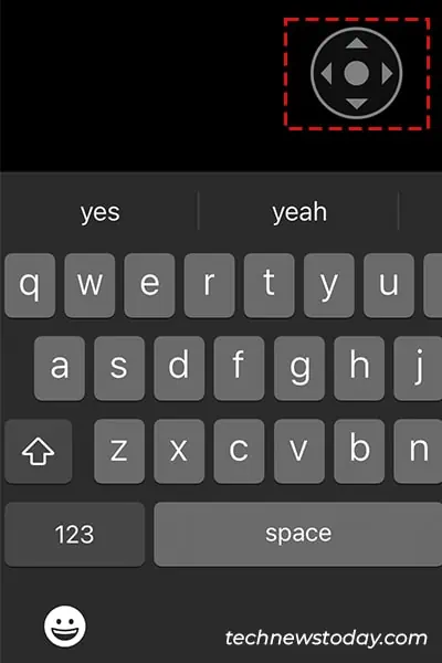 Zoom-Control-Options-iPhone