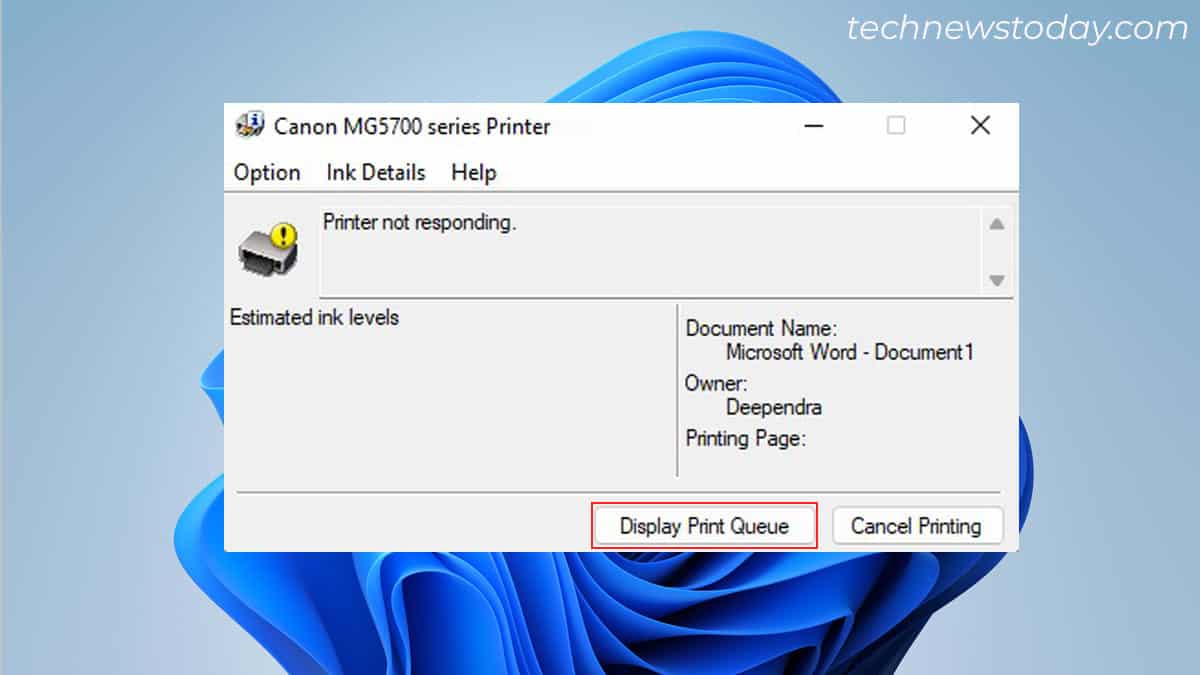 display-print-queue-option-canon-printer-is-not-responding